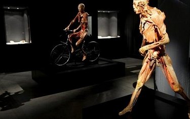 Главное изображние