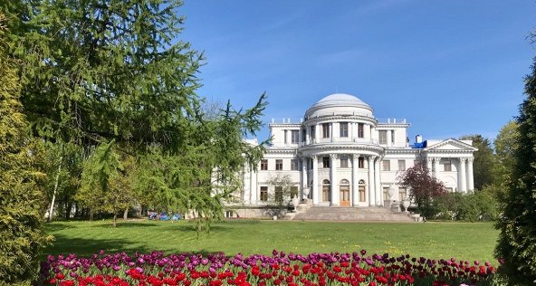Петербург после пандемии: топ-10 мест, которые доступны для посещения с детьми в июле