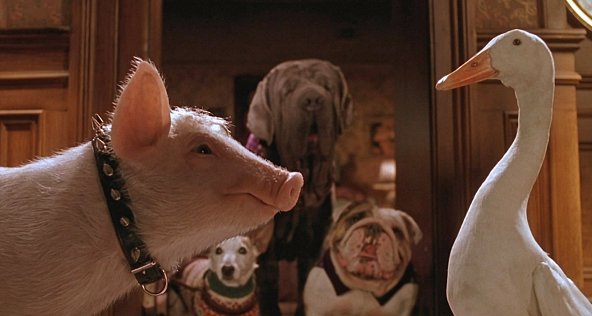 10 трогательных и увлекательных фильмов про домашних животных