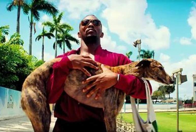 Фильм Кровью и потом Анаболики (США, 2013) смотреть