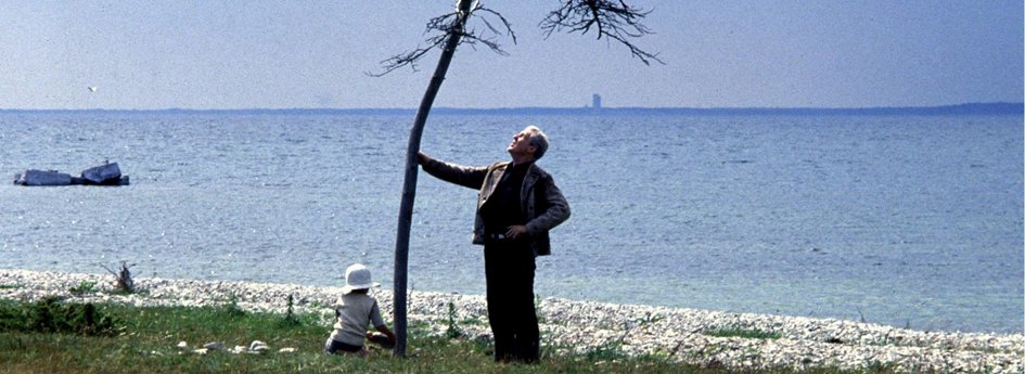Фильм «Жертвоприношение» Кино: «Жертвоприношение»