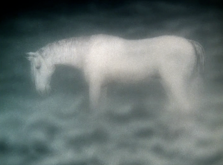Белая лошадь теракт. Лошадь туман Норштейн.