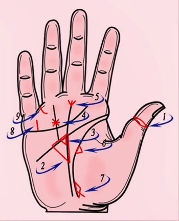 Основные линии на руке в хиромантии