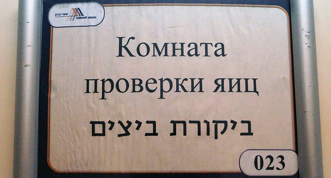 Кошер, лайк, репост