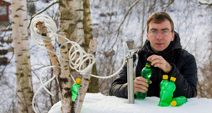 Бывший энергетик из Петербурга занялся сбором и продажей березового сока