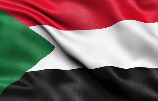 Россия помогает Судану в борьбе с пустынной саранчой, угрожающей урожаю пшеницы