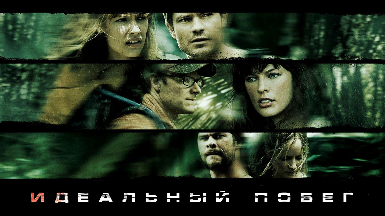 В поисках света